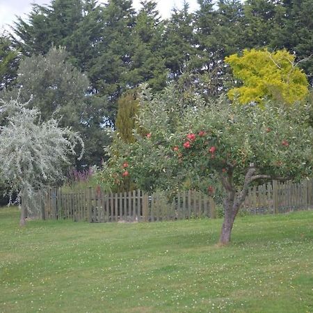 The Willow Studio - Peaceful Retreat Near Whitstable Seaside Faversham Luaran gambar